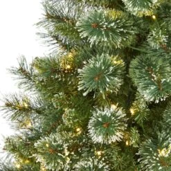 6-ft Wisconsin Slim Snow Tip Pine Tree – Compact Elegance For Holiday Cheer -Ed's plant shop 6 wisconsin slim snow tip pine tree compact elegance for holiday cheer 597547