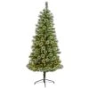 6-ft Wisconsin Slim Snow Tip Pine Tree – Compact Elegance For Holiday Cheer -Ed's plant shop 6 wisconsin slim snow tip pine tree compact elegance for holiday cheer 672020