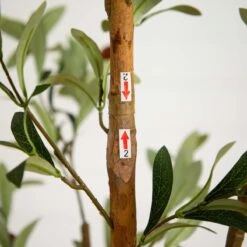 7-ft Artificial Olive Tree With Natural Trunk -Ed's plant shop 7 ft artificial olive tree with natural trunk 412217