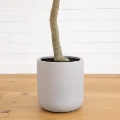 7.5-ft Faux Eucalyptus Tree | Realistic Indoor Greenery – Ed's Plant Shop -Ed's plant shop 75 faux eucalyptus tree realistic indoor greenery eds plant shop 864846