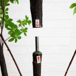 8-ft Artificial Minimalist Enkianthus Tree -Ed's plant shop 8 artificial minimalist enkianthus tree 814752