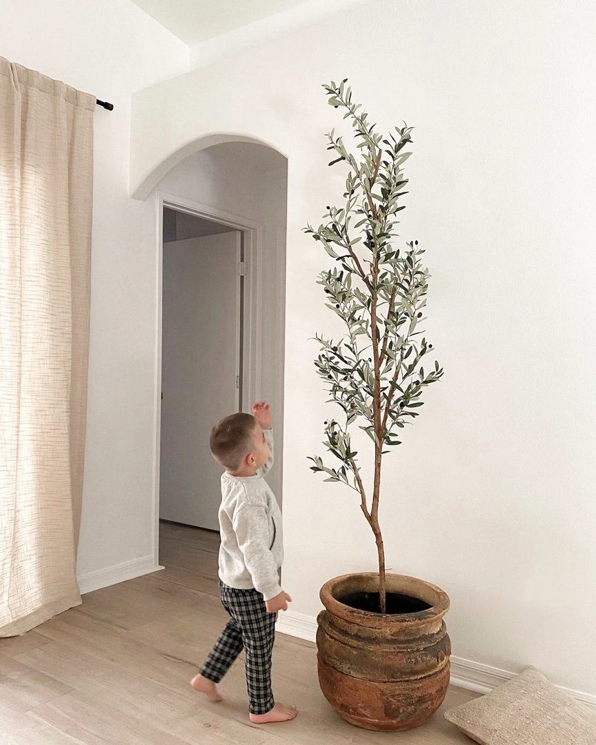 82-in Artificial Olive Tree – Tall, Rustic & Lifelike Décor Accent 9 82-in Artificial Olive Tree – Tall, Rustic & Lifelike Décor Accent - Image 7