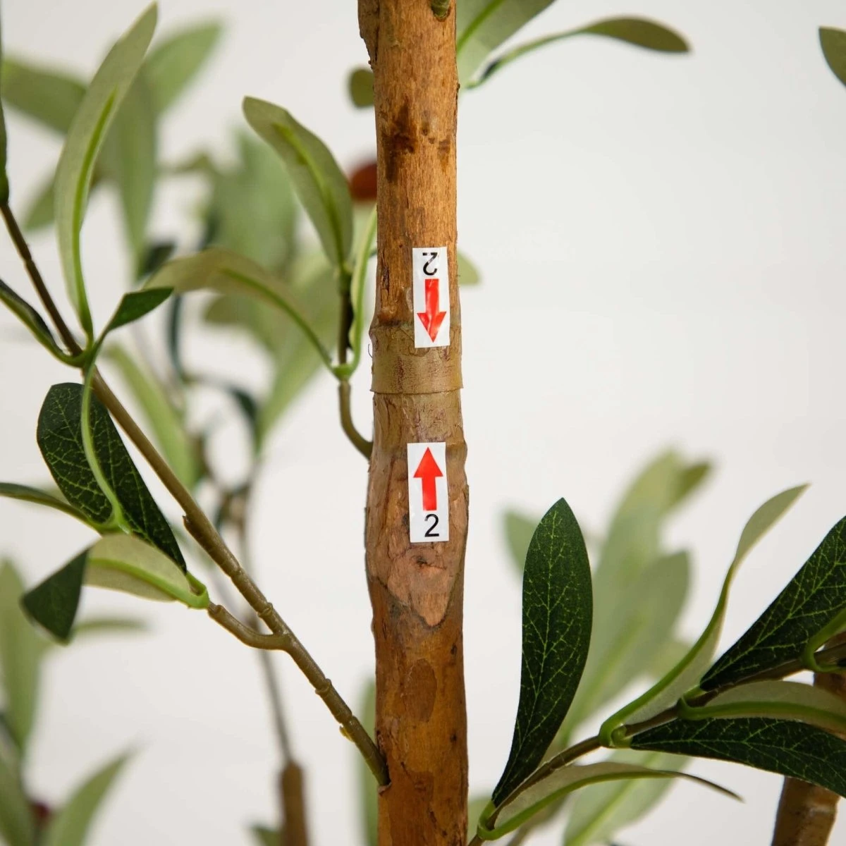82-in Artificial Olive Tree – Tall, Rustic & Lifelike Décor Accent 7 82-in Artificial Olive Tree – Tall, Rustic & Lifelike Décor Accent - Image 5
