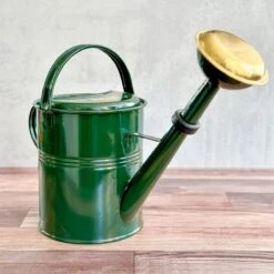 9 Liter- PLINT Watering Can With Removable Sprinkler Head -Ed's plant shop 9 liter plint watering can with removable sprinkler head 722754