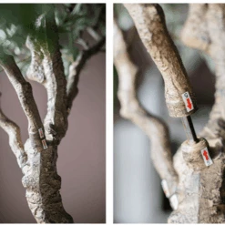 90″ Extra Large Artificial Olive Tree – Realistic Faux Décor -Ed's plant shop 90 extra large artificial olive tree realistic faux decor 948447