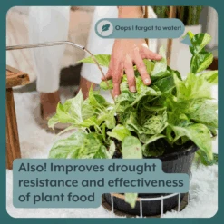 Thrive Bundle (Online Only) (Plant Food + Probiotics) For HOUSEPLANTS -Ed's plant shop IPS 5 ba4bb5bc 7f13 4d0d abe2 b6290b26a66c