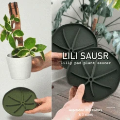 Lili Saucer – Stylish Lily Pad Plant Saucer For Drainage, Root Rot Prevention & Humidity -Ed's plant shop Lili Sausr Green Medium size video