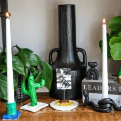 Air Dry Clay Kit -Ed's plant shop air dry clay kit 281509