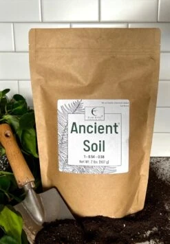 Ancient Soil - Premium Soil For Houseplants 18 Ancient Soil - Premium Soil For Houseplants -Ed's plant shop ancient soil premium soil for houseplants 299356