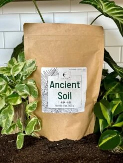 Ancient Soil - Premium Soil For Houseplants 16 Ancient Soil - Premium Soil For Houseplants -Ed's plant shop ancient soil premium soil for houseplants 336777