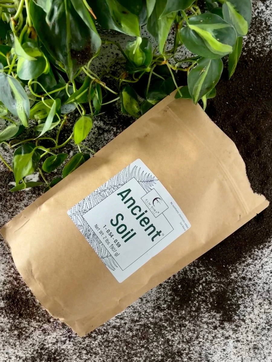 Ancient Soil - Premium Soil For Houseplants 4 Ancient Soil - Premium Soil For Houseplants - Image 2