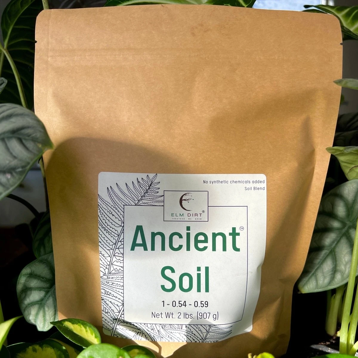 Ancient Soil - Premium Soil For Houseplants 3 Ancient Soil - Premium Soil For Houseplants