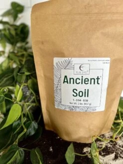 Ancient Soil - Premium Soil For Houseplants 20 Ancient Soil - Premium Soil For Houseplants -Ed's plant shop ancient soil premium soil for houseplants 951013