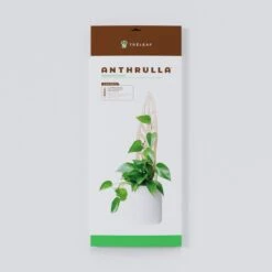 Anthrulla - Anthurium Inspired Plant Trellis -Ed's plant shop anthrulla anthurium inspired plant trellis 151563