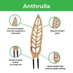Anthrulla - Anthurium Inspired Plant Trellis -Ed's plant shop anthrulla anthurium inspired plant trellis 497755