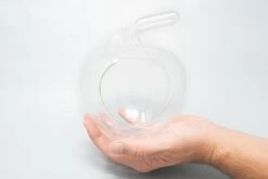 Apple Terrarium With Pebble Kit And Tillandsia Air Plants -Ed's plant shop apple terrarium with pebble kit and tillandsia air plants 4631508