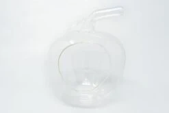 Apple Terrarium With Pebble Kit And Tillandsia Air Plants -Ed's plant shop apple terrarium with pebble kit and tillandsia air plants 9884236