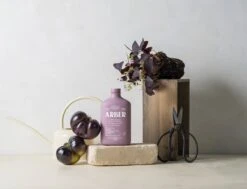 Arber Bio Fungicide – 16oz Concentrate -Ed's plant shop arber bio fungicide 16oz concentrate 530477