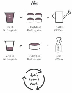 Arber Bio Fungicide – 16oz Concentrate -Ed's plant shop arber bio fungicide 16oz concentrate 728579