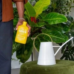 Arber Bio Insecticide – 8oz Concentrate -Ed's plant shop arber bio insecticide 8oz natural pest control 198945