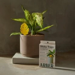 Arber Sticky Traps – 16-Pack Plant Pest Control -Ed's plant shop arber sticky traps 16 pack plant pest control 8881728