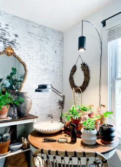 Archetto - Transparent Wall Mount For Plant Lighting -Ed's plant shop archetto transparent wall mount for plant lighting 316321