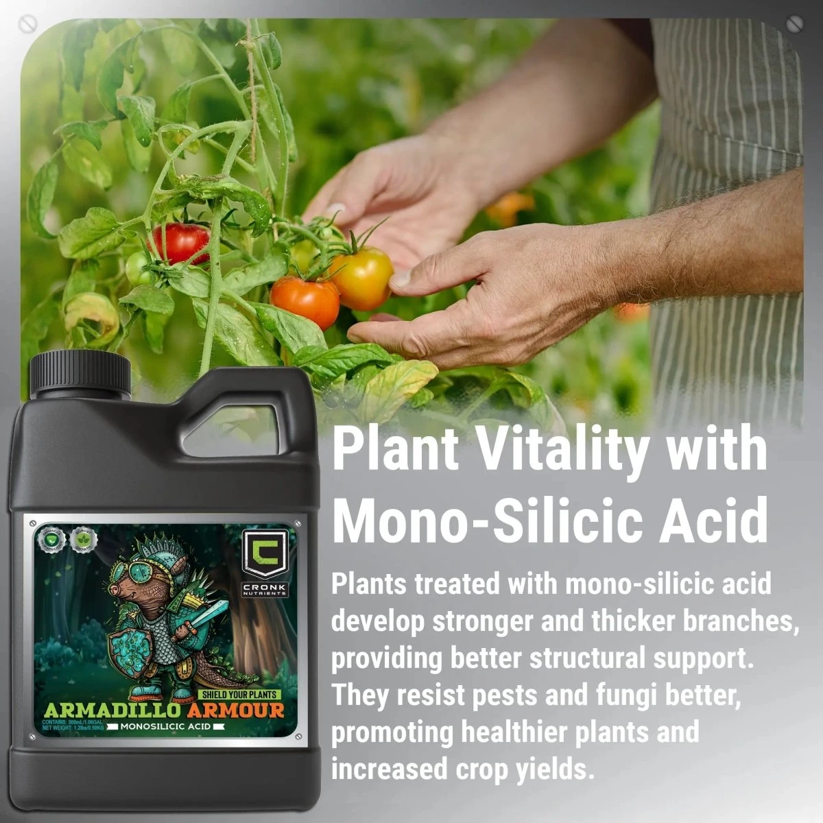 Armadillo Armour – Monosilicic Acid For Stronger, Healthier Plants 4 Armadillo Armour – Monosilicic Acid For Stronger, Healthier Plants - Image 2