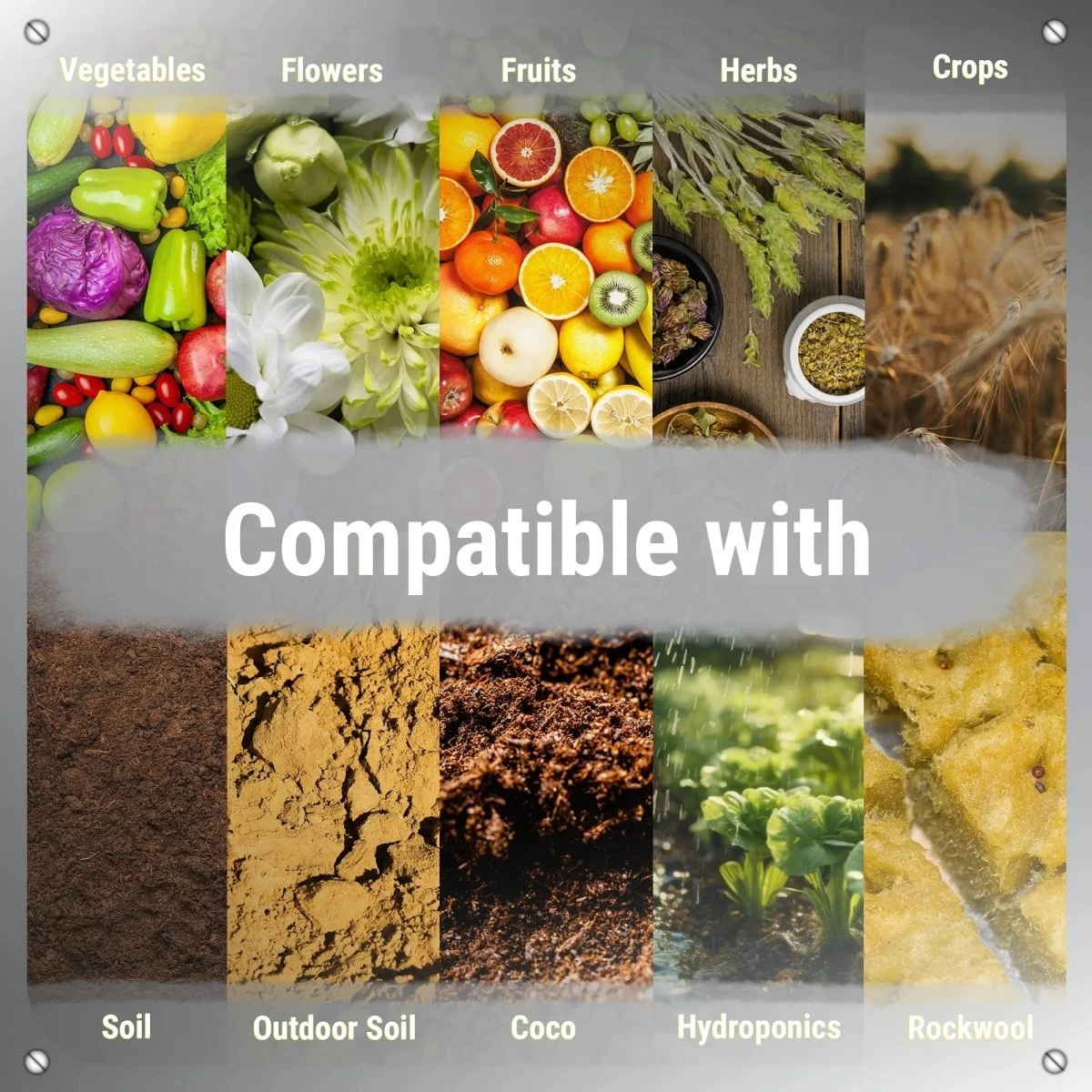 Armadillo Armour – Monosilicic Acid For Stronger, Healthier Plants 8 Armadillo Armour – Monosilicic Acid For Stronger, Healthier Plants - Image 6