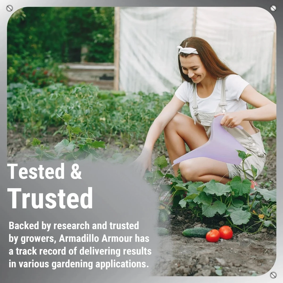 Armadillo Armour – Monosilicic Acid For Stronger, Healthier Plants 6 Armadillo Armour – Monosilicic Acid For Stronger, Healthier Plants - Image 4