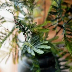 Artificial Faux Acacia Plant Stem 47" Tall -Ed's plant shop artificial faux acacia plant stem 47 tall 478063