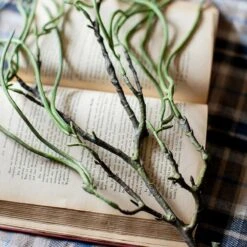 Artificial Faux Let Fall Plant Stem 29" Tall -Ed's plant shop artificial faux let fall plant stem 29 tall 643633