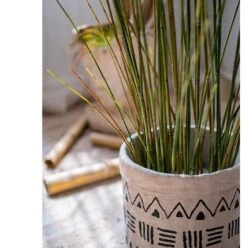 Artificial Faux Rough Horsetail Plant Long Stem 54" Tall 14 Artificial Faux Rough Horsetail Plant Long Stem 54" Tall -Ed's plant shop artificial faux rough horsetail plant long stem 54 tall 617488