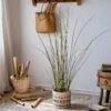 Artificial Faux Rough Horsetail Plant Long Stem 54" Tall 2 Artificial Faux Rough Horsetail Plant Long Stem 54" Tall -Ed's plant shop artificial faux rough horsetail plant long stem 54 tall 951346
