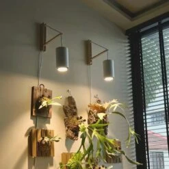 Aspect™ Grow Light Gift Set (Large) – Style And Superior Plant Care -Ed's plant shop aspect grow light gift set large style and superior plant care 120903