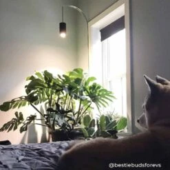 Aspect™ LED Grow Light Starter Set – Grow In Style -Ed's plant shop aspect led grow light starter set grow in style 166002