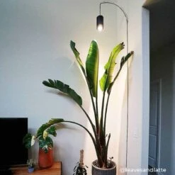 Aspect™ LED Grow Light Starter Set – Grow In Style -Ed's plant shop aspect led grow light starter set grow in style 577213