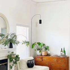 Aspect™ LED Grow Light Starter Set – Grow In Style -Ed's plant shop aspect led grow light starter set grow in style 746810