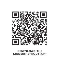 Bamboo Smart Hydroplanter -Ed's plant shop bamboo smart hydroplanter 525516