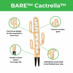 BARE™ Cactrella™ - Customizable Wooden Plant Support - Inspired By The Barrel Cactus -Ed's plant shop bare cactrella customizable wooden plant support inspired by the barrel cactus 4172865