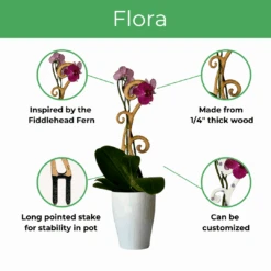 BARE™ Flora™ – Customizable Wooden Floral Plant Trellis For Indoor Climbing Plants -Ed's plant shop bare flora customizable wooden floral plant trellis for indoor climbing plants 7029792