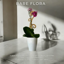 BARE™ Flora™ – Customizable Wooden Floral Plant Trellis For Indoor Climbing Plants -Ed's plant shop bare flora customizable wooden floral plant trellis for indoor climbing plants 7556648