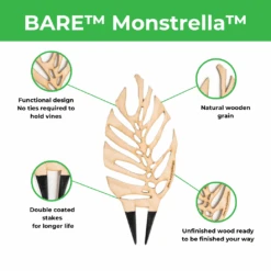 BARE™ Monstrella™ – Customizable Wooden Plant Trellis For Indoor Climbing Plants -Ed's plant shop bare monstrella customizable wooden plant trellis for indoor climbing plants 7165519