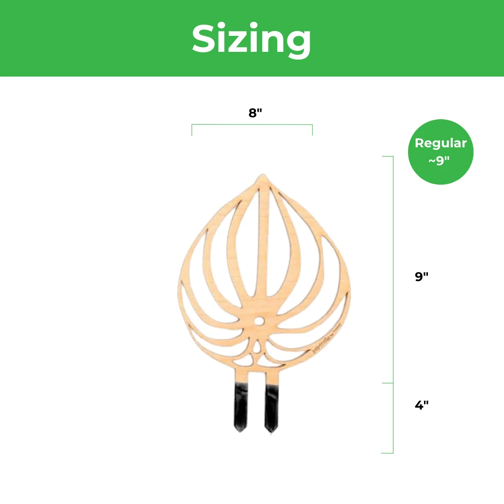 BARE™ Peptrella™ Plant Trellis – Customizable Birch Wood Support Inspired By Peperomia 7 BARE™ Peptrella™ Plant Trellis – Customizable Birch Wood Support Inspired By Peperomia - Image 5