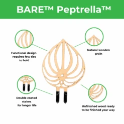 BARE™ Peptrella™ Plant Trellis – Customizable Birch Wood Support Inspired By Peperomia 15 BARE™ Peptrella™ Plant Trellis – Customizable Birch Wood Support Inspired By Peperomia -Ed's plant shop bare peptrella plant trellis customizable birch wood support inspired by peperomia 5112206