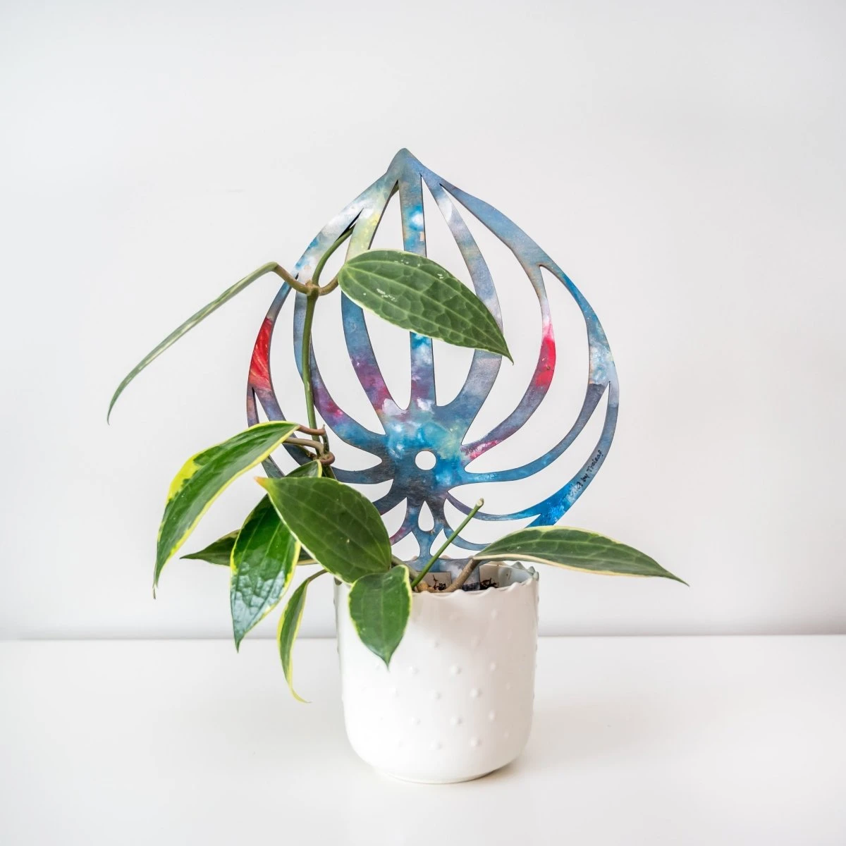 BARE™ Peptrella™ Plant Trellis – Customizable Birch Wood Support Inspired By Peperomia 5 BARE™ Peptrella™ Plant Trellis – Customizable Birch Wood Support Inspired By Peperomia - Image 3