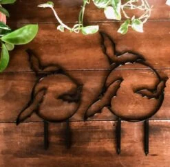 Bats Houseplant Trellis -Ed's plant shop bats houseplant trellis 237227