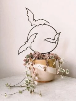 Bats Houseplant Trellis -Ed's plant shop bats houseplant trellis 798501