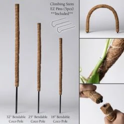 Bendable & Stackable Coco Coir Pole: Support For Climbing Plants -Ed's plant shop bendable stackable coco coir pole support for climbing plants 403786