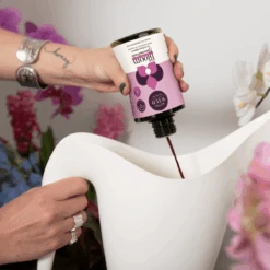 Bloom Concentrate (8 Fl Oz) -Ed's plant shop bloom concentrate 8 fl oz 403820