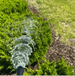 Bloom Juice - Blossom Boosting Fertilizer -Ed's plant shop bloom juice blossom boosting fertilizer 335868